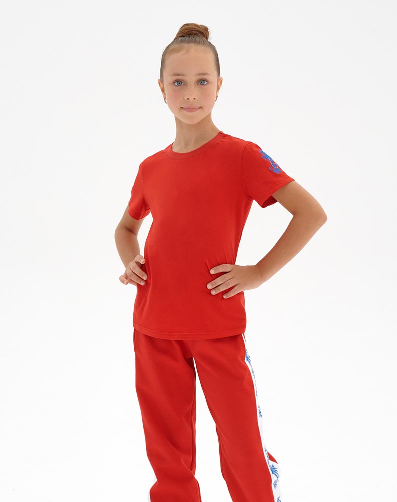 Embroidered T-shirt "Gzhel" – 0129 Embroidered T-shirt "Gzhel" – 0129